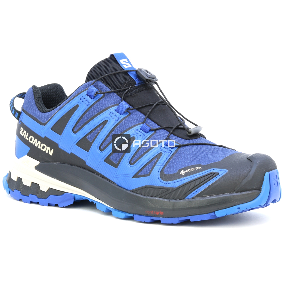 szczegóły Buty trekkingowe SALOMON XA Pro 3D V9 GTX