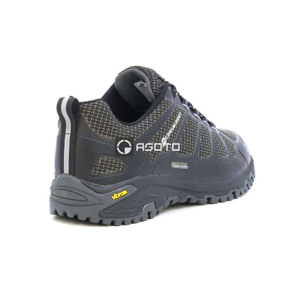 szczegóły Buty trekkingowe ALPINE PRO Musswe WP membrane