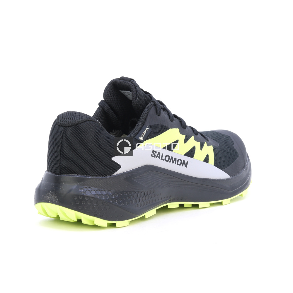 szczegóły Buty trekkingowe SALOMON Alphaglide GTX membrane Gore-Tex®