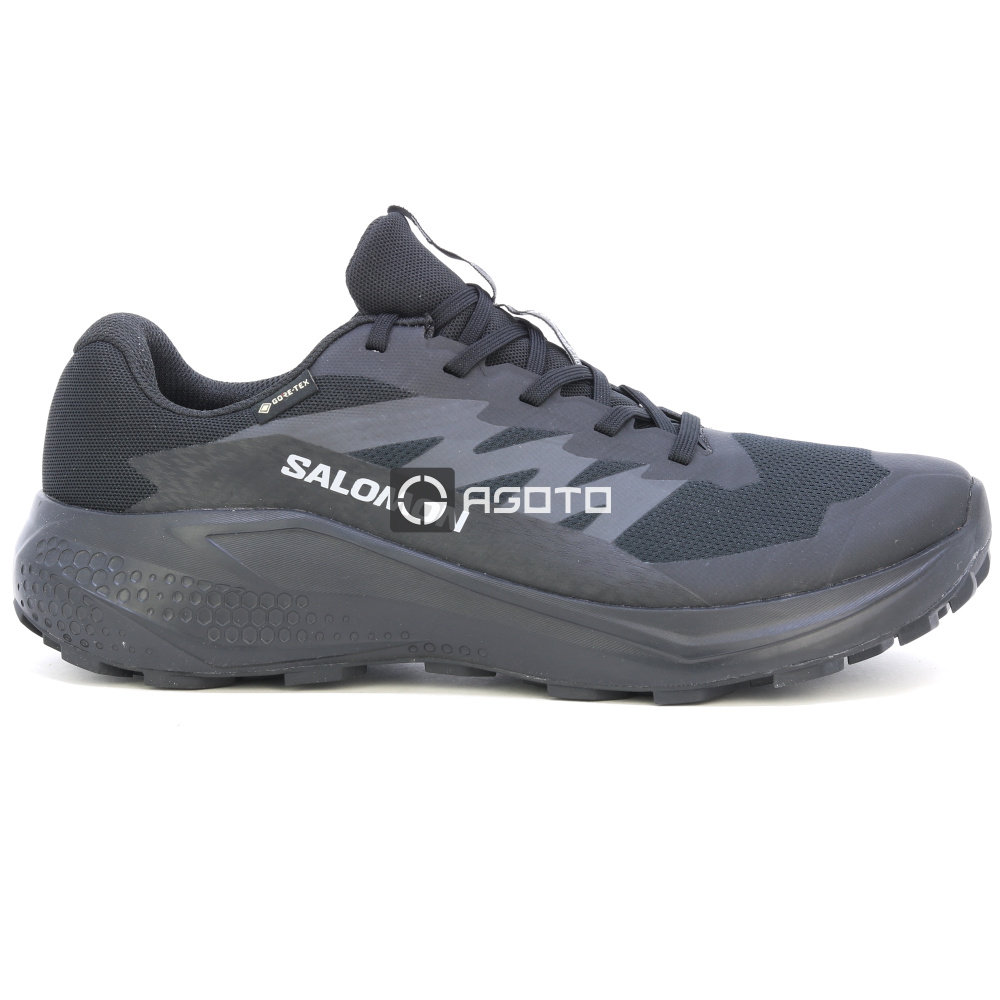 szczegóły Buty trekkingowe SALOMON Alphaglide GTX membrana Gore-Tex®