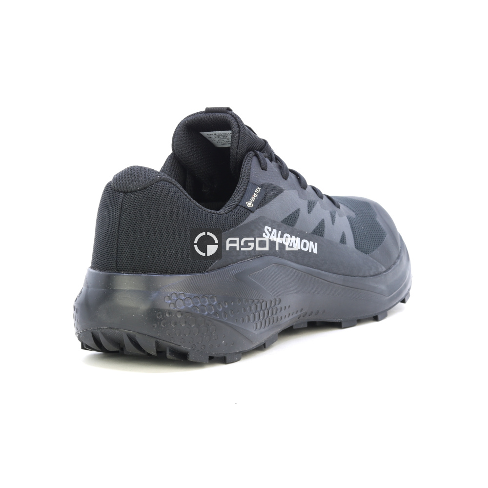 szczegóły Buty trekkingowe SALOMON Alphaglide GTX membrana Gore-Tex®
