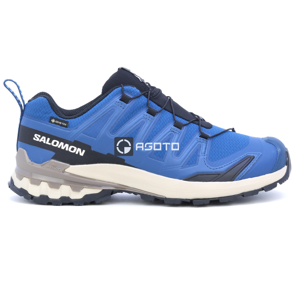 szczegóły Buty trekkingowe SALOMON XA Pro 3D V9 GTX GORE-TEX®