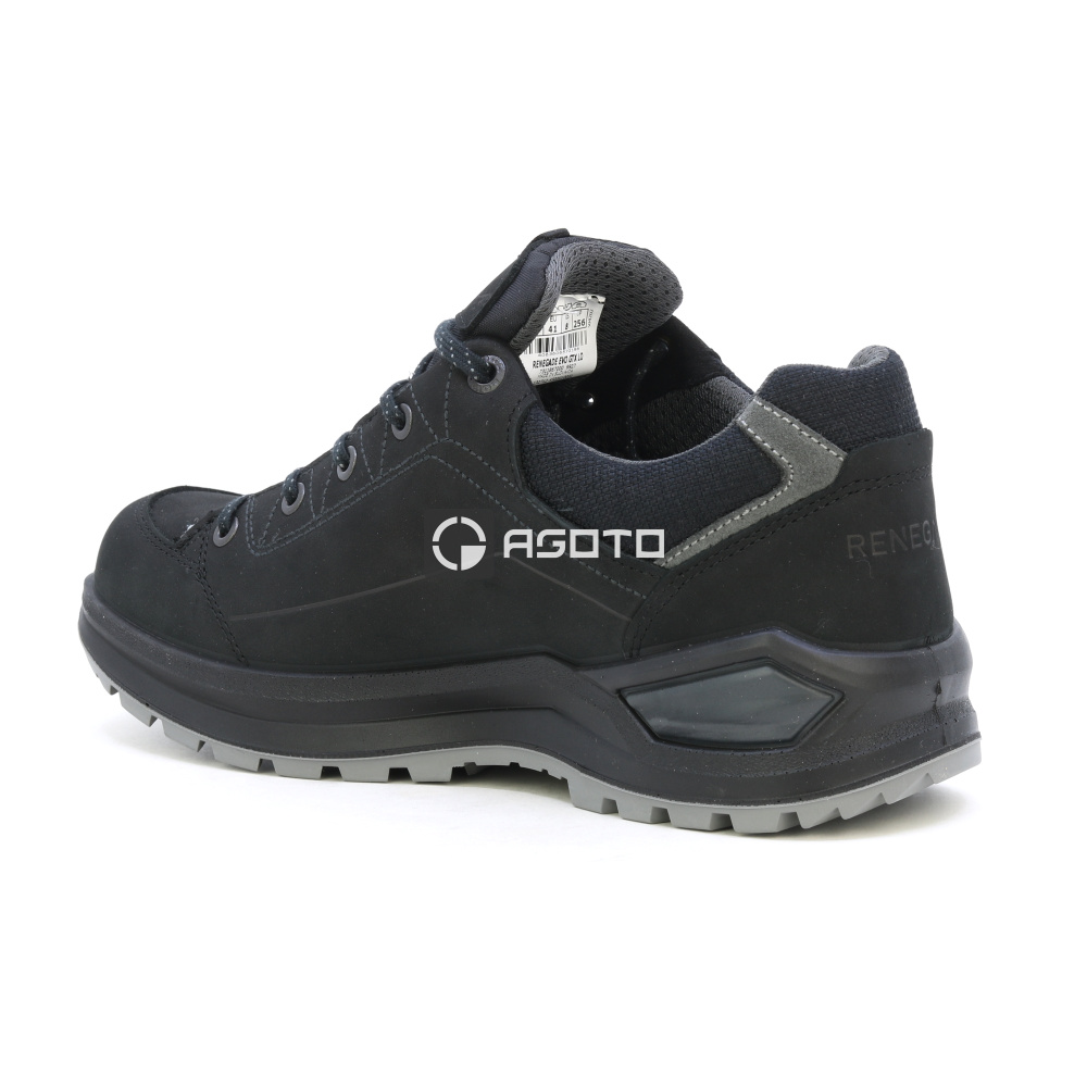 szczegóły Buty trekkingowe LOWA Renegade EVO GTX lo Gore-Tex®