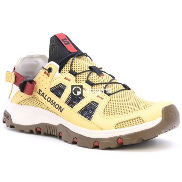 Buty trekkingowe SALOMON Techamphibian 5 M antiqu