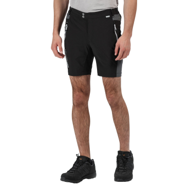 Męskie spodenki REGATTA Mountain shorts