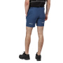 náhled Męskie spodenki REGATTA Mountain shorts