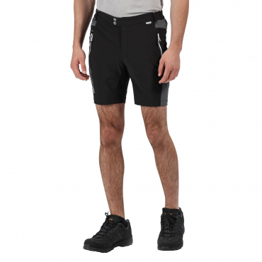 Męskie spodenki REGATTA Mountain shorts