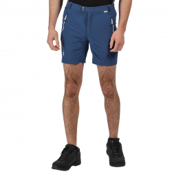 Męskie spodenki REGATTA Mountain shorts